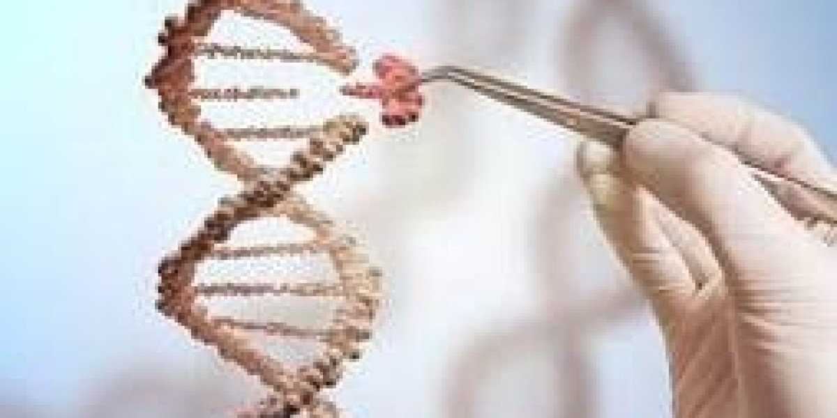 ADC Bioanalytics: Advancing Precision in Antibody-Drug Conjugate Development