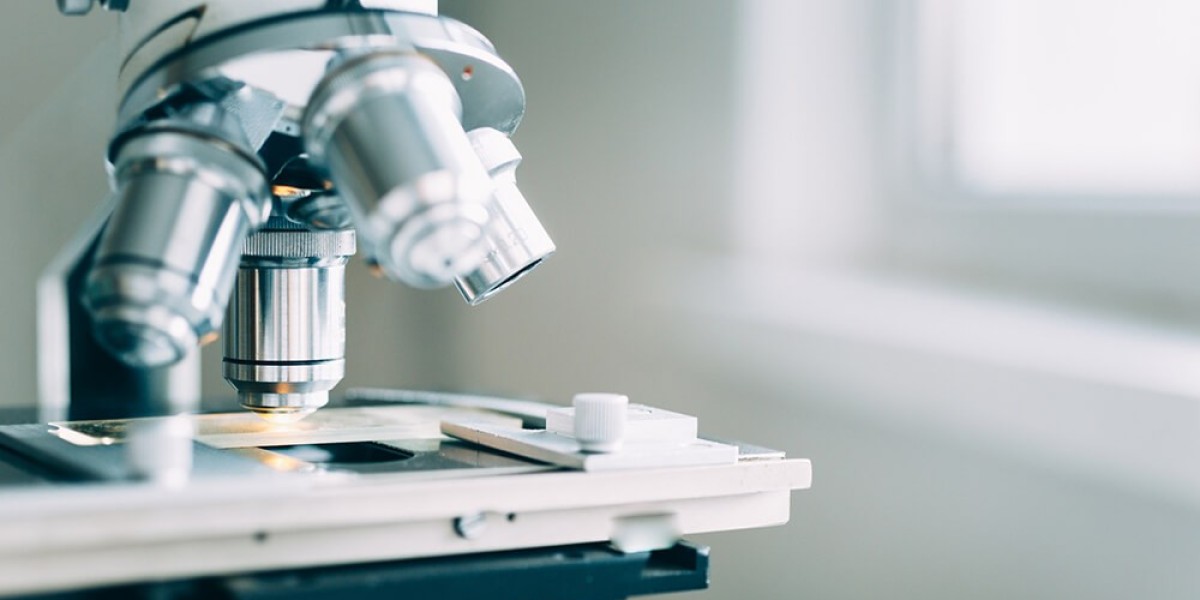Microscopy Market Trends Highlight Emerging Technologies and Global Expansion Across Scientific Disciplines