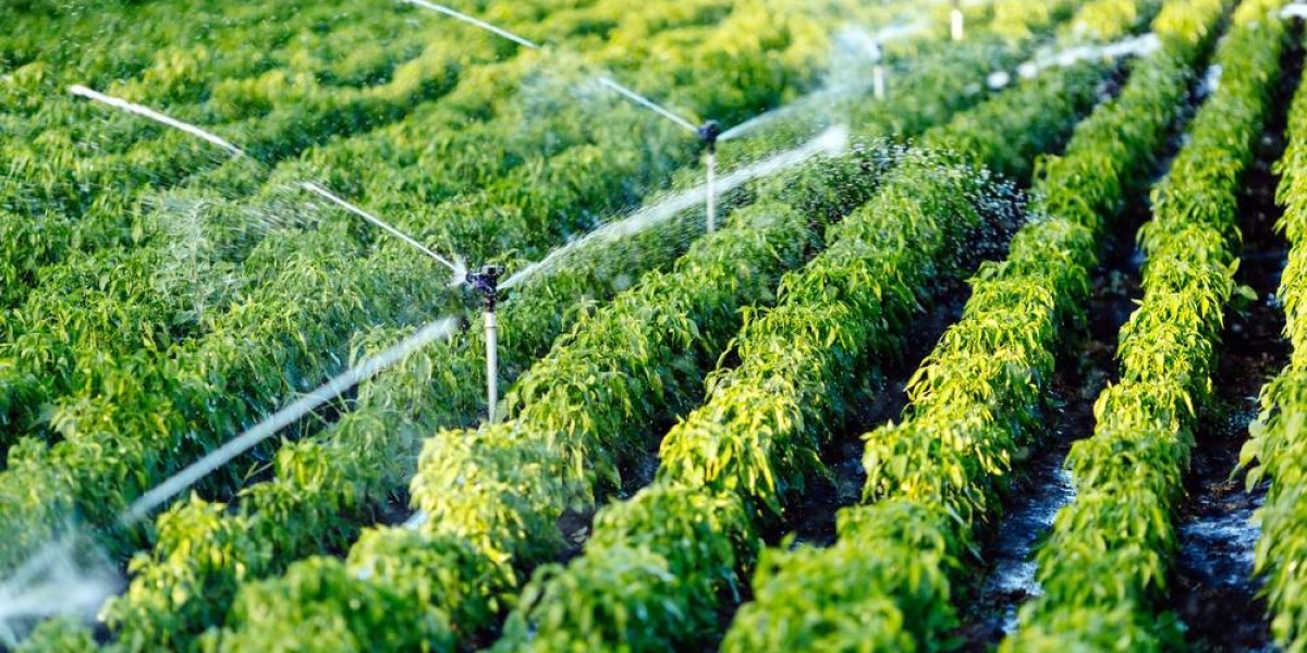 Global Micro-Irrigation System Market Size & Share Insights Through 2030