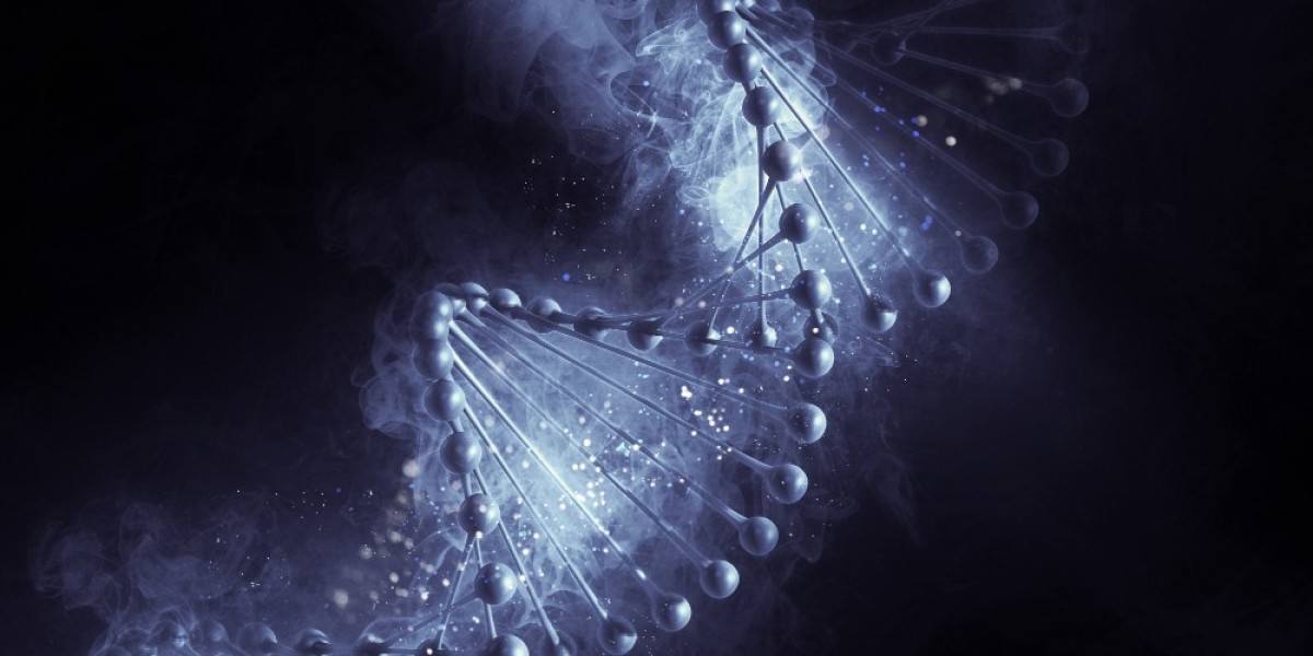 Flow Chemistry Market: Accelerating Innovation in Chemical Manufacturing