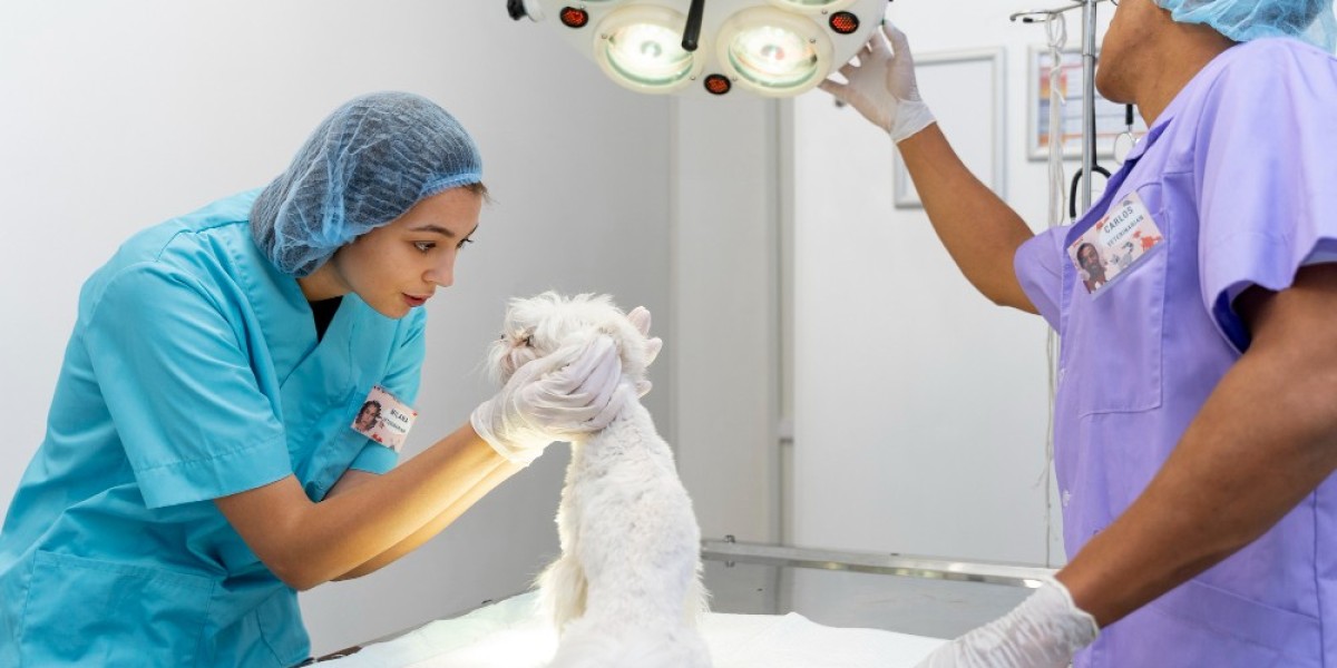 Your Trusted Pet Veterinary Clinic in Qatar: A Haven for Animal Wellness