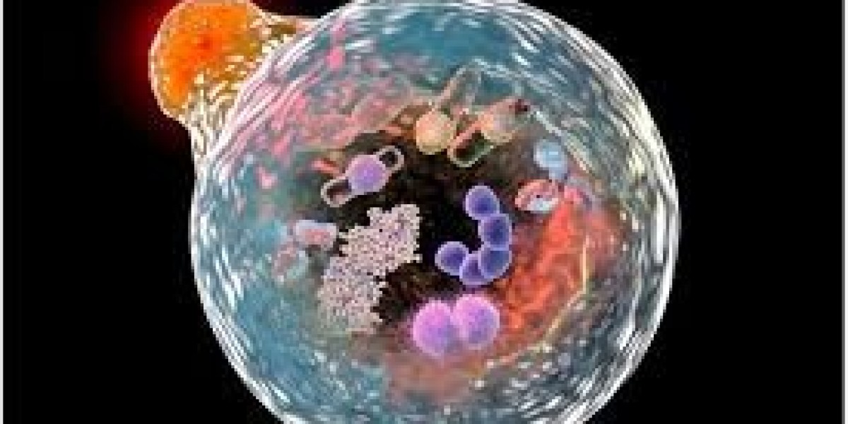 Biophotonics Market Size, Share, and Opportunities Analysis Report 2021 - 2030