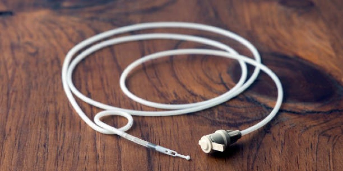Advancements in Endocavitary Probe Technology for Clinical Excellence