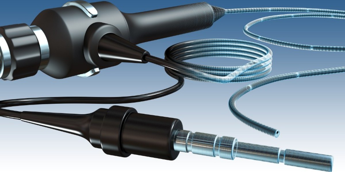 Veterinary Endoscope Market Benefiting from Surge in Livestock Health Monitoring and Preventive Healthcare