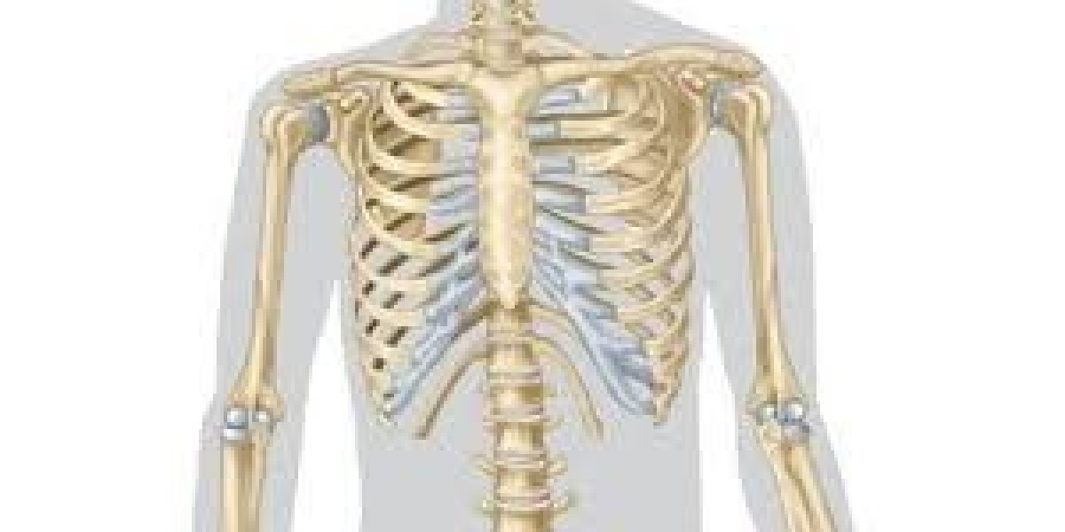 Bone Regeneration Market Insights: Strategic Forecasts and Investment Opportunities for Global Stakeholders