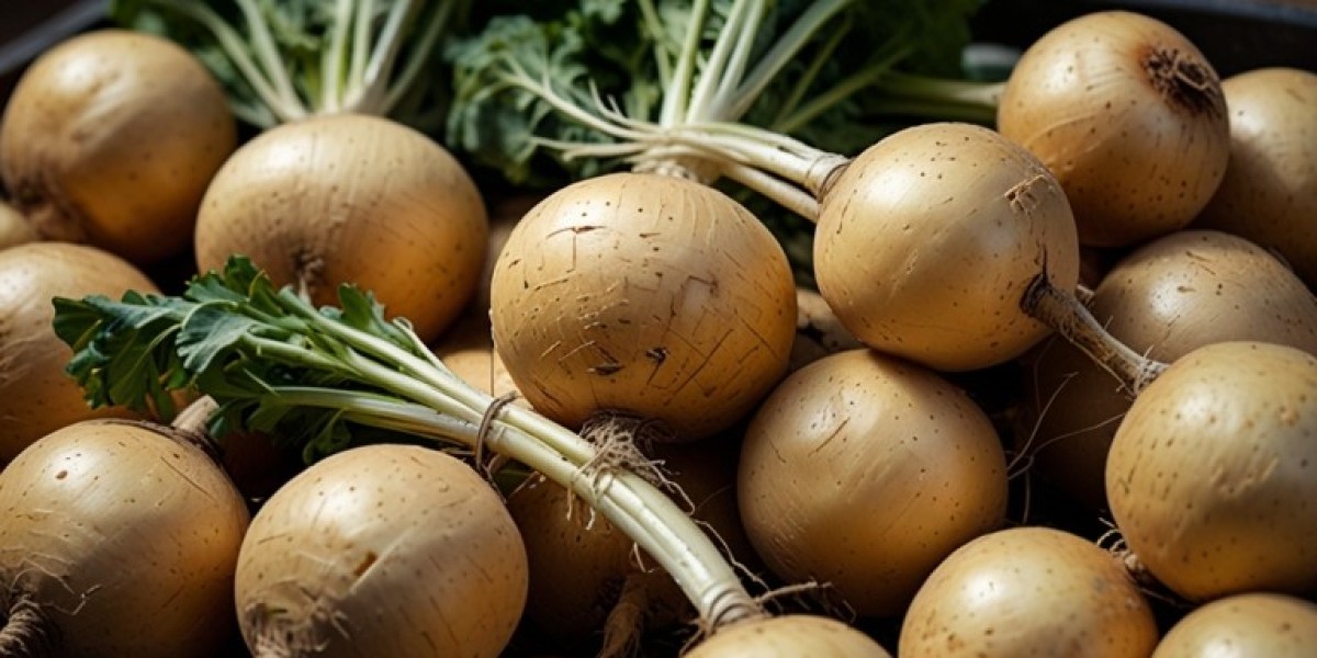 Turnip Processing Unit Setup 2025 | Cost Analysis, Resource Planning, and Business Model