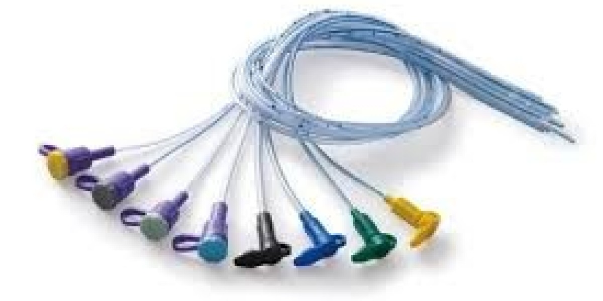 Feeding Tubes Market Winning Strategies for Sustainable Growth and Competitive Advantage