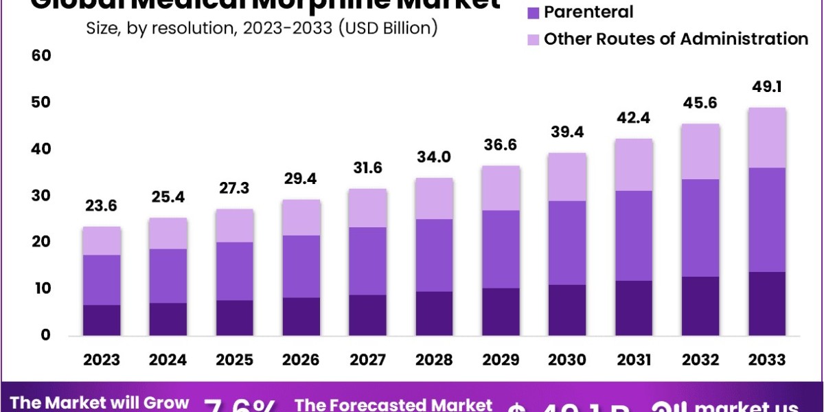 Medical Morphine Market to Grow on Need for Effective Pain Relief in Aging Adults