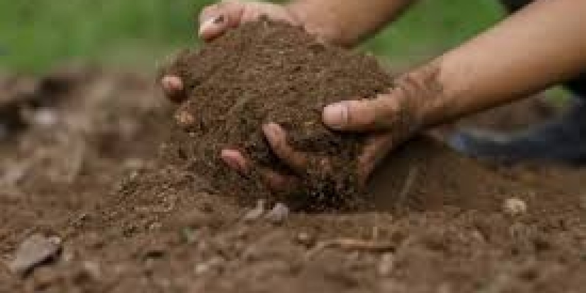 Blood Meal Fertilizers Market future outlook shaped by organic produce consumption trends