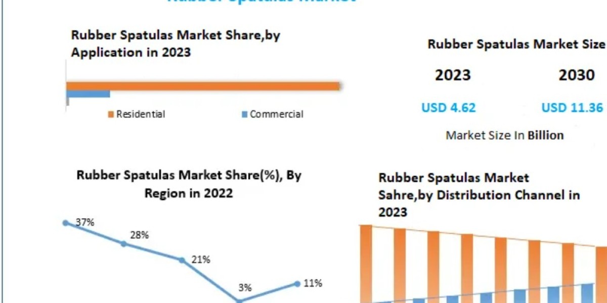Global Rubber Spatulas Market Outlook to 2030: Emerging Technologies, Consumer Preferences, and Supply Chain Insights
