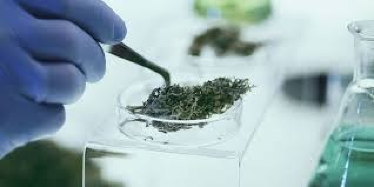 Cannabis Extract Market segmentation reveals lucrative niche and emerging segments