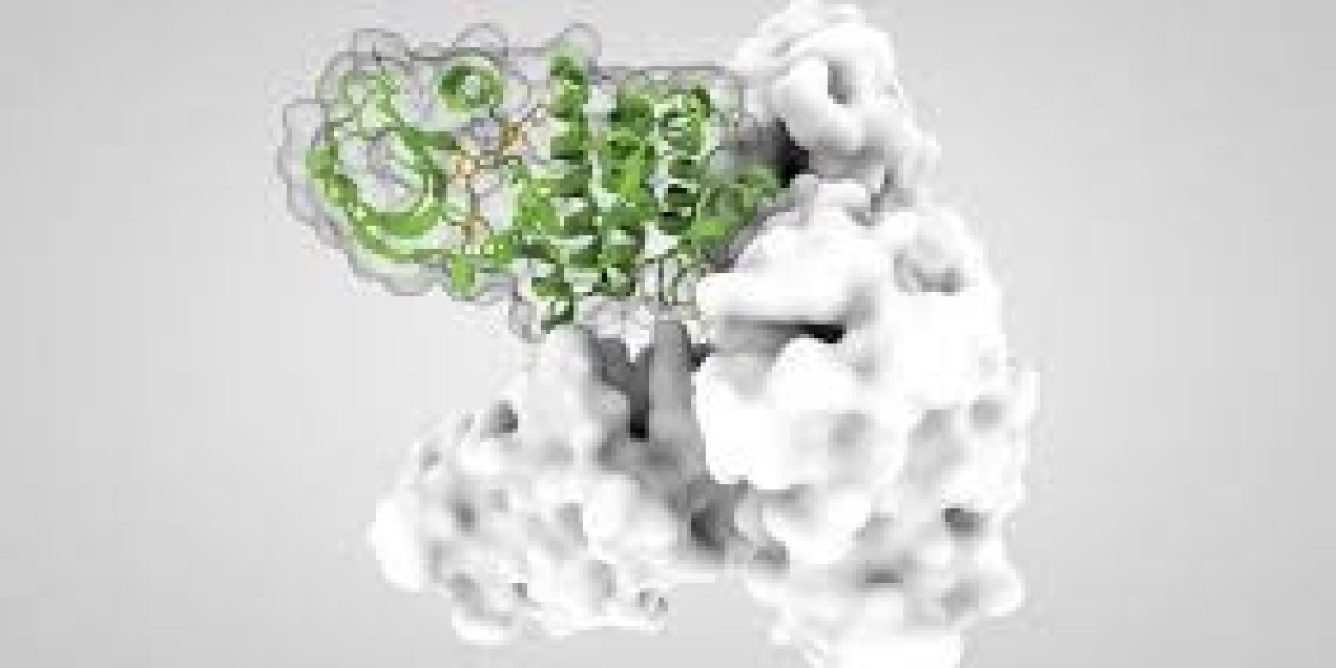 Global Kinase Inhibitor Market Size, Trends, Growth & Forecast 2021–2030