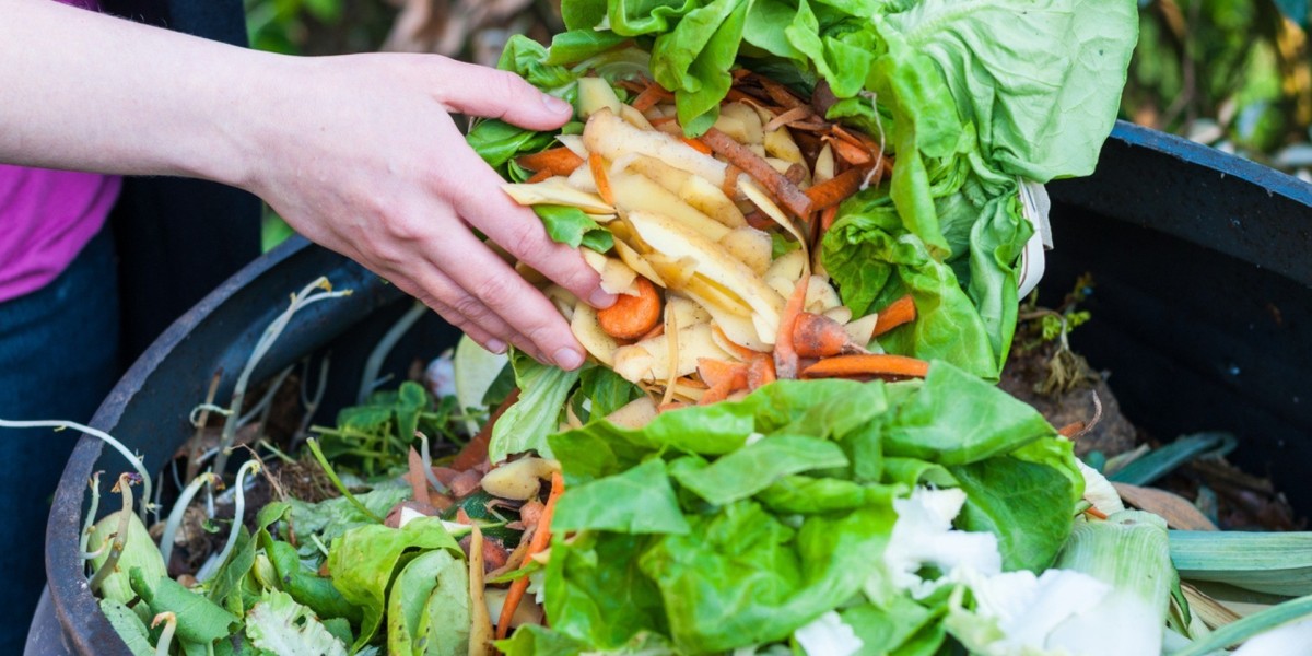 Food Waste Recycling Machine Market Opportunities Arise from Rising Organic Waste Generation in Hospitality and Foodserv