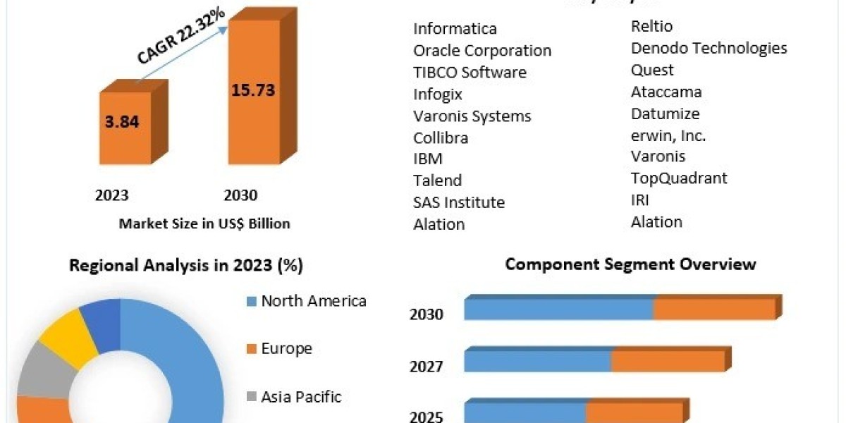 Data Governance Market Challenges, Opportunities, and Competitive Analysis And Forecast-2030
