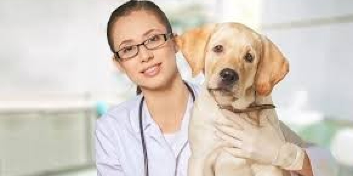 Veterinary Pain Management Market Report : Trends, Growth Opportunities, and Key Players