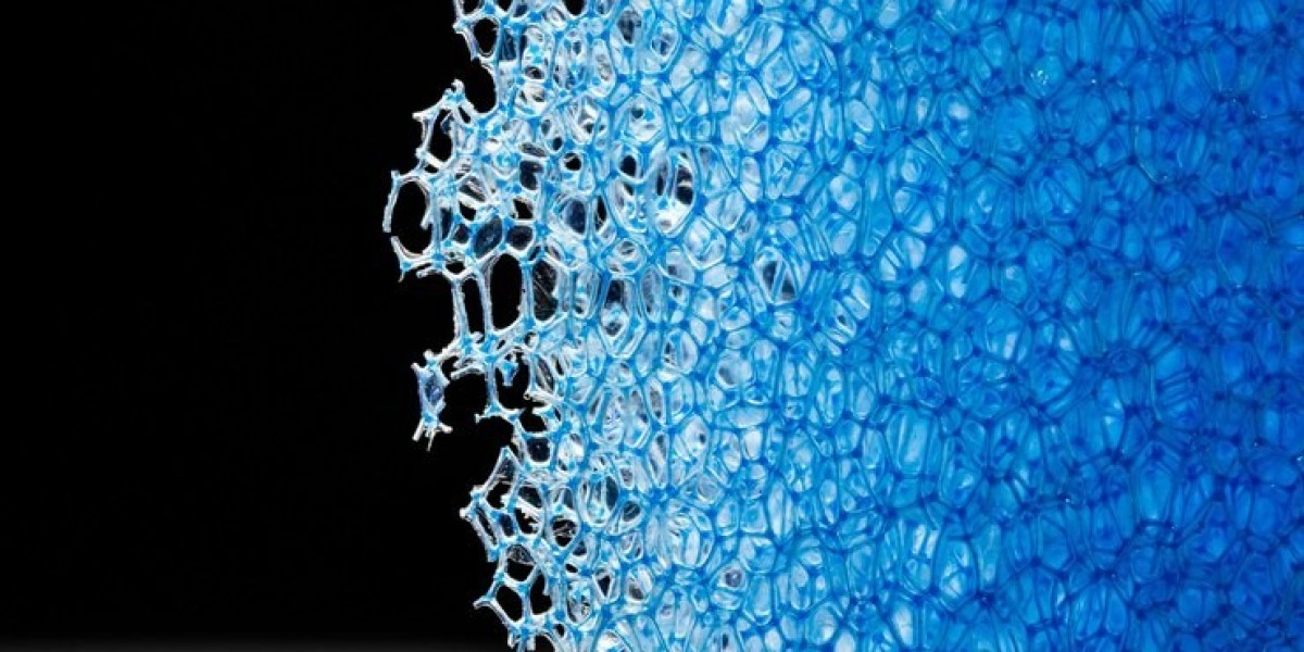 Conditioning Polymers Market Dynamic Expansion Fueled by Innovations and Consumer Preferences