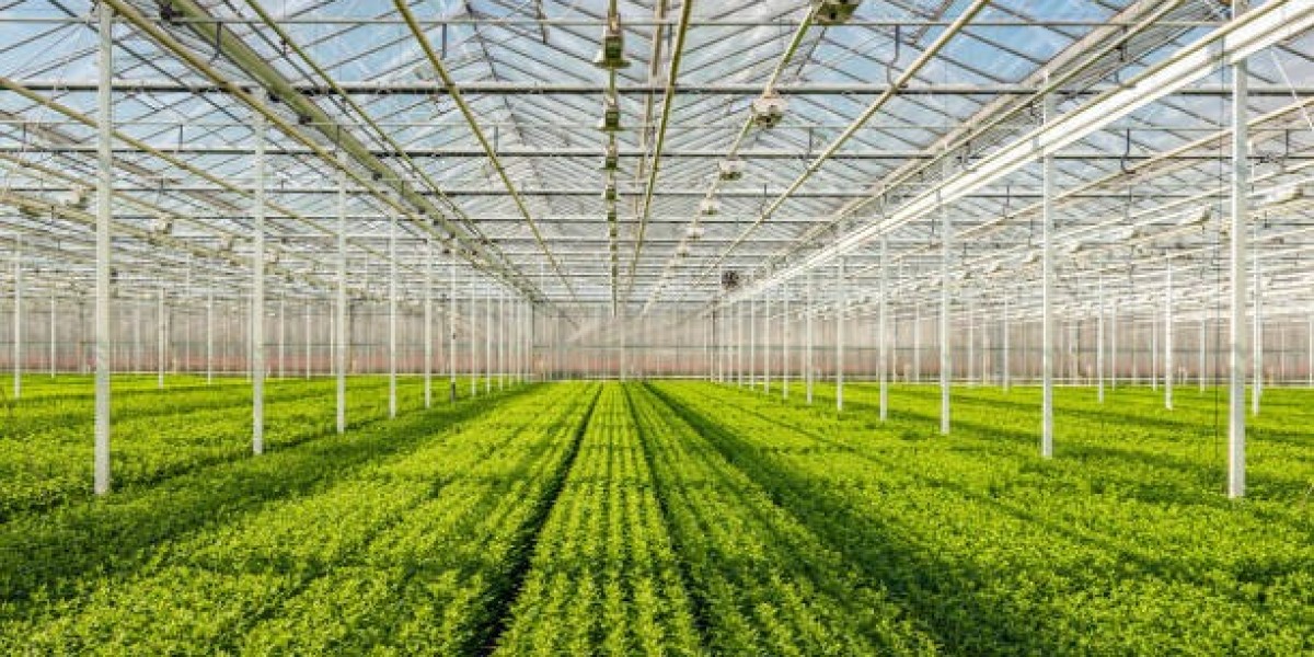Global Commercial Greenhouse Market Forecast 2021-2030: Trends, Innovations and Growth Opportunities
