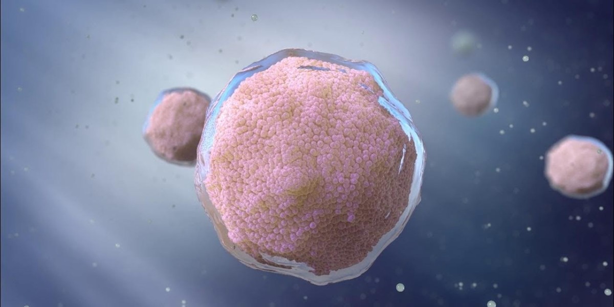 Organoids Market by End User (Pharmaceuticals, Biotechnology, Academics) – Forecast to 2035