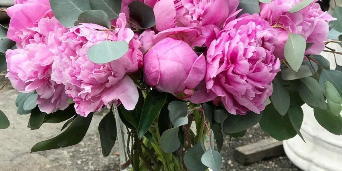 Houston’s Top Florists Revealed – Where Quality Meets Creativity