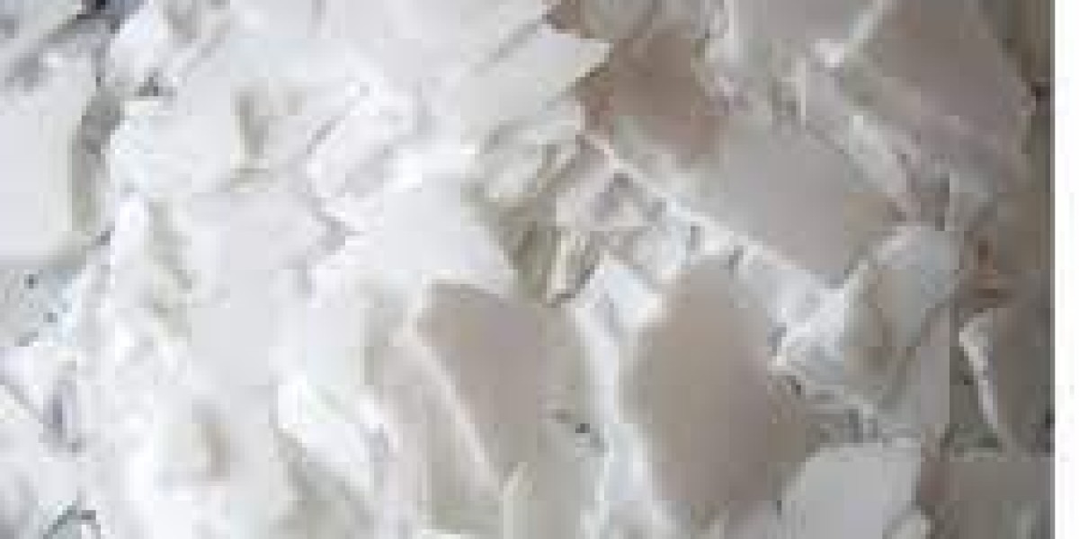 Bio-Wax Market consumer demand evolution and purchasing behavior study 2025