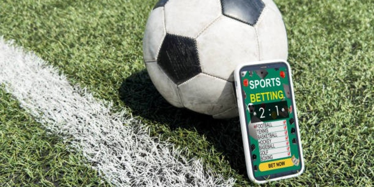 Streamlining Success with Betting Software for Football Bookies