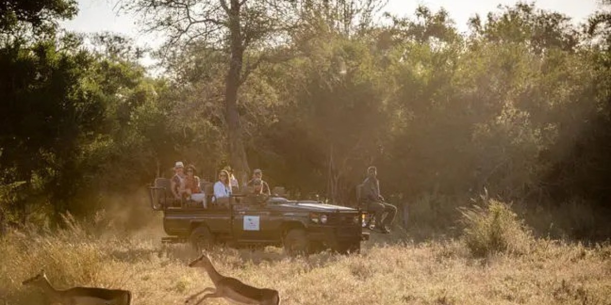 Luxury and Comfort in the Wild Discover the Top Kruger National Park Lodges for an Unforgettable Stay