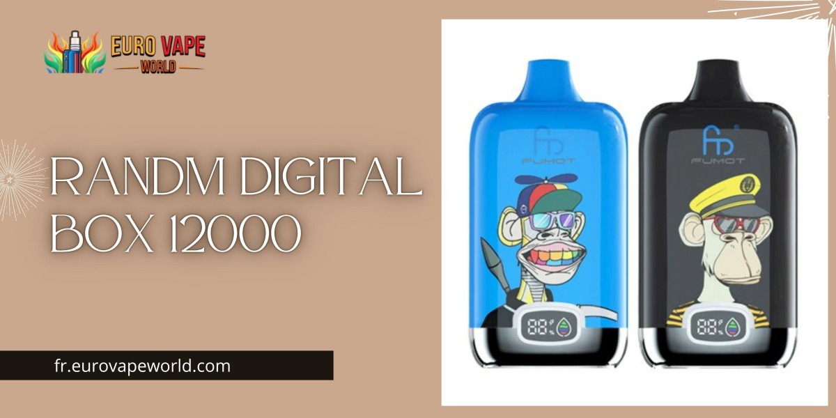 RandM Digital Box 12000 : Une Révolution dans le Monde des Vapes Jetables