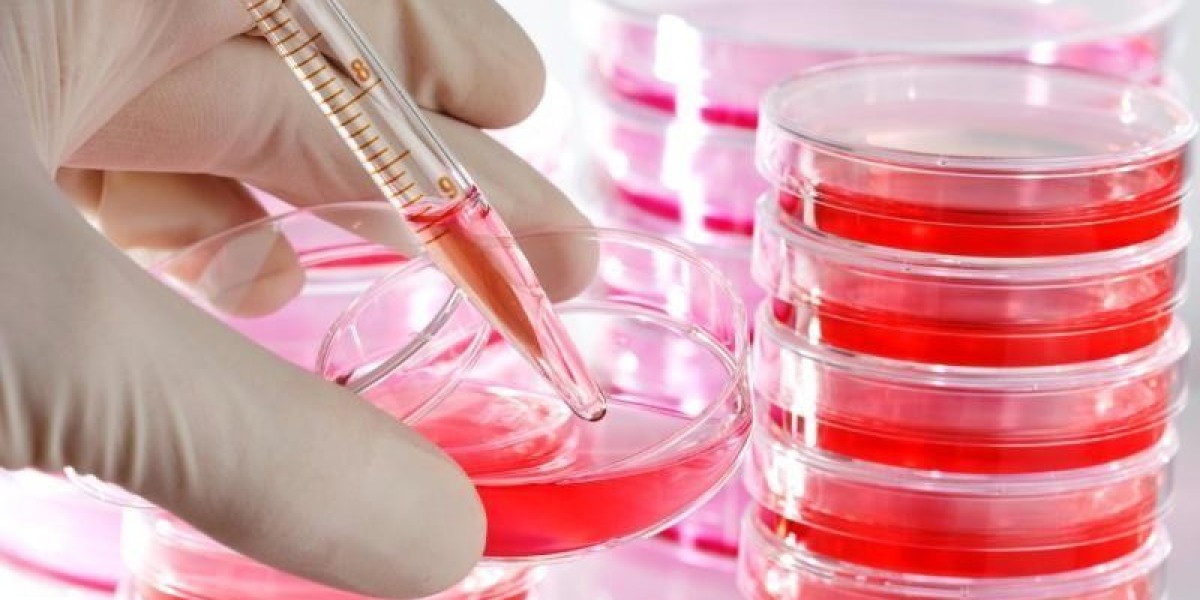 Comprehensive Insights on Cell and Tissue Culture Supplies Market Size and Demand Scope