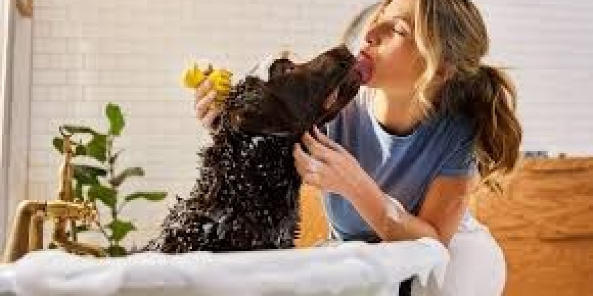 Non-Medicated Pet Shampoo Market Inhibitors Slowing Global Adoption and Demand