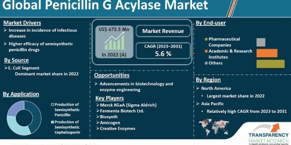 Penicillin G Acylase Market Report: By Types, By applications, By Manufacturers, Forecast 2031