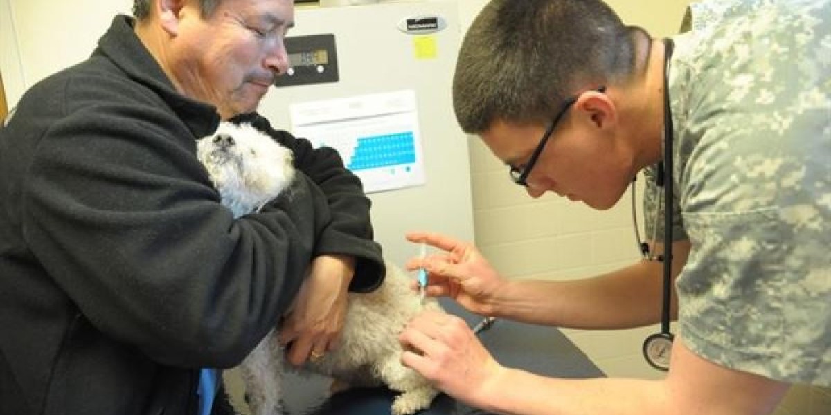 Veterinary Vaccines Market Shows Promising Growth Potential in Emerging Economies with Expanding Animal Husbandry