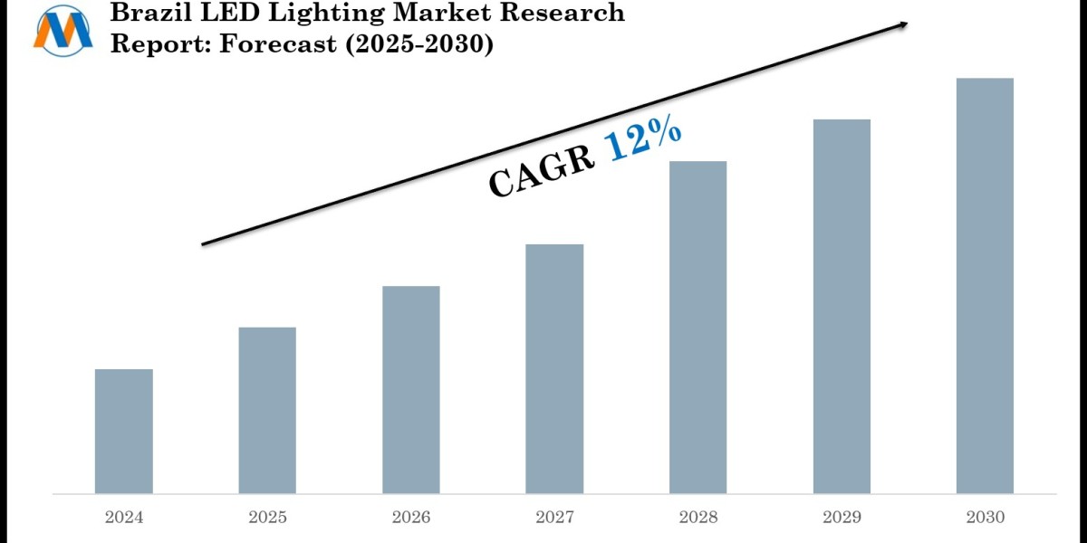 2025 Brazil LED Lighting Market Forecast: Growth Drivers & Outlook to 2030