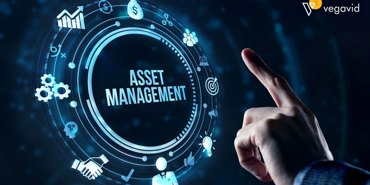 Exploring the Digital Asset Management Systems Market: Trends and Forecast Insights