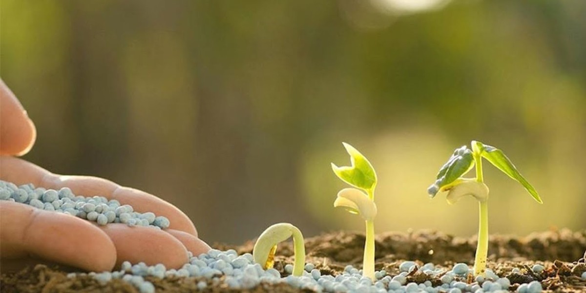 Silicon Fertilizers Market Penetration in the Middle East and Africa
