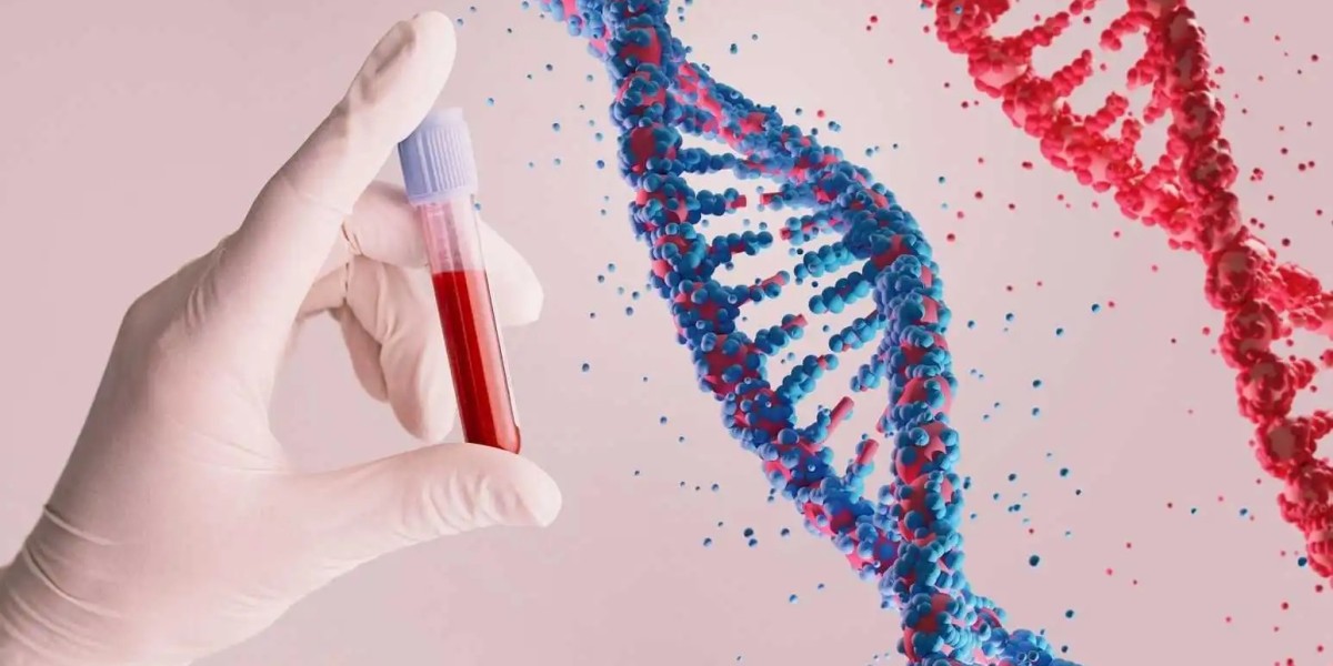 Stay Fit Using Blood Tests for Body Analysis