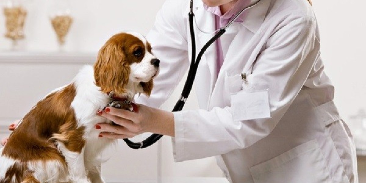 Animal Healthcare Market Analysis By Manufacturers, Regions, Types and Applications 2028