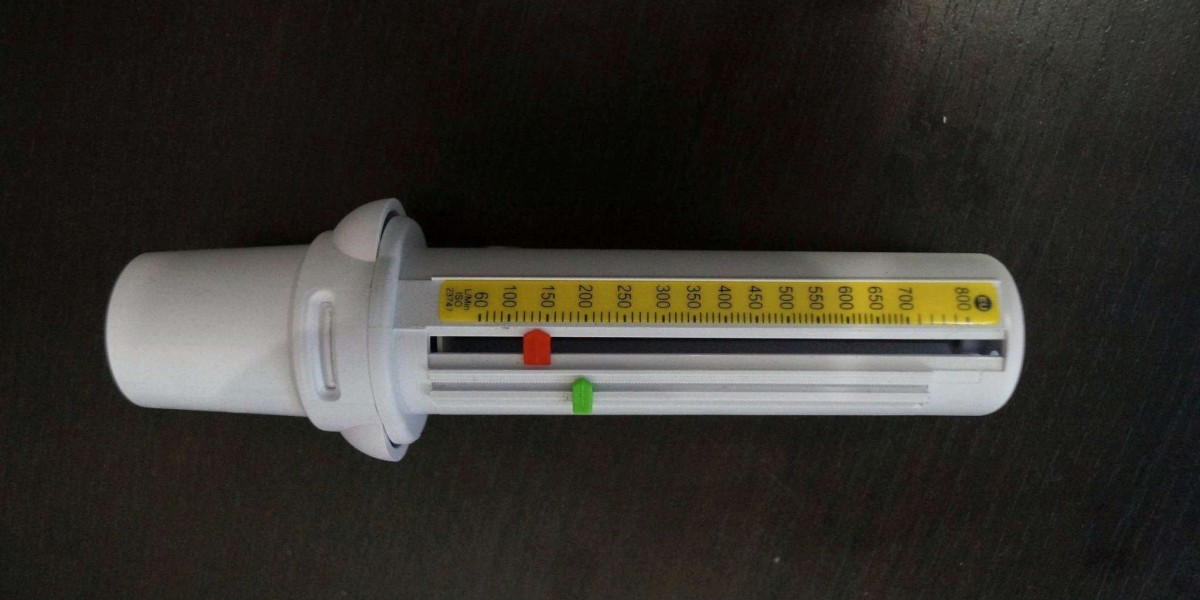 Peak Flow Meter Market Innovation Accelerates With Integration of AI and Cloud-Based Health Data Platforms