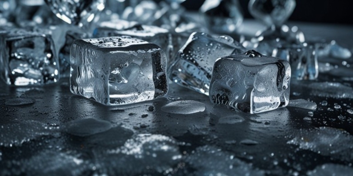 Ice Manufacturing Plant Report 2025 | Capital Structure, Inputs, and Industry Analysis