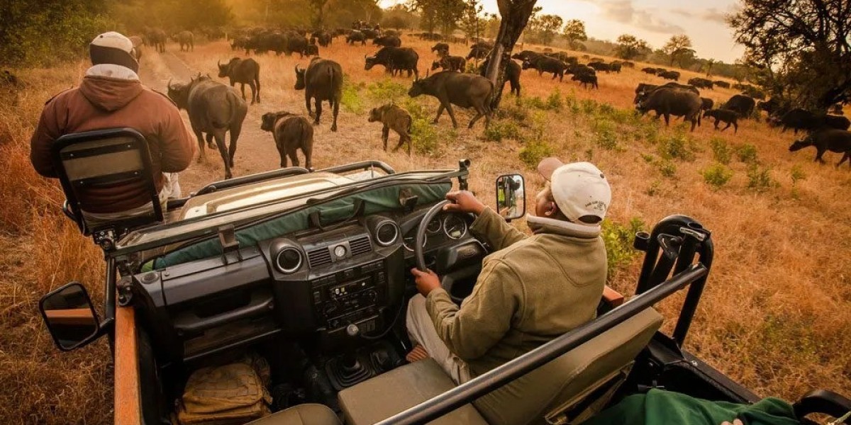 Top Reasons to Visit Sabi Sands Game Reserve for Unforgettable Safari Adventures