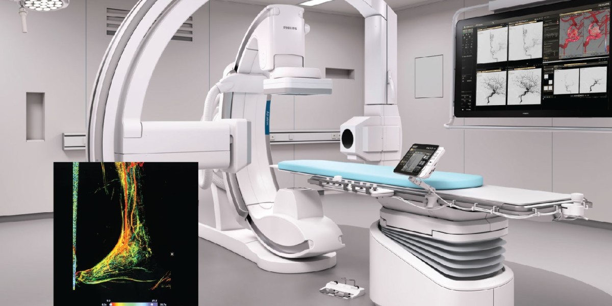 Brazil Angioplasty Devices Market Analysis: Demand, Trends, and Forecasts to 2033