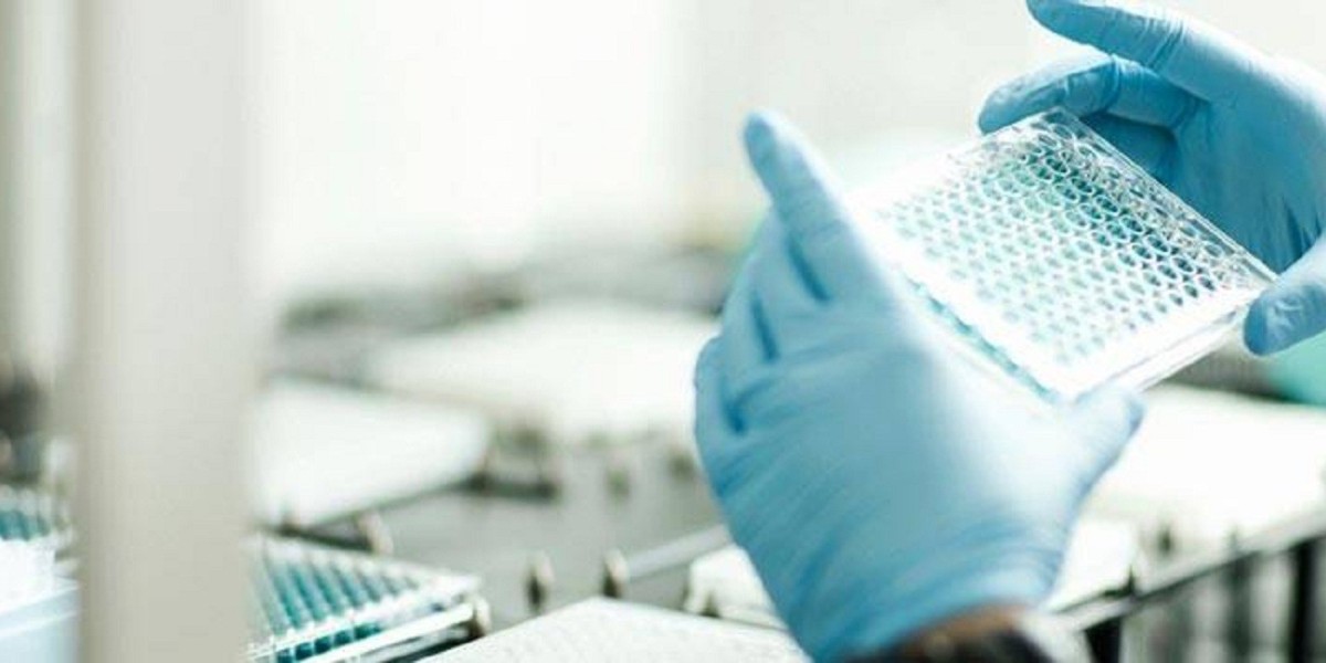 White Biotechnology Market: Brewing a $410B Sustainable Revolution by 2033 | Spherical Insights Report