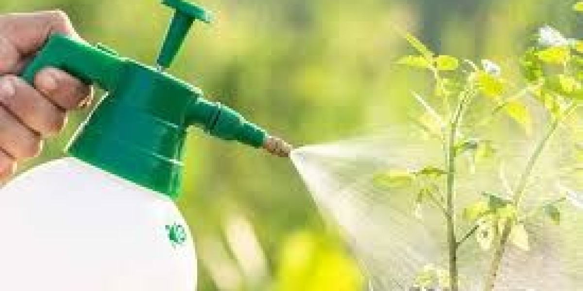 Latest Trends in the Liquid Fertilizers Market with Forecast Data and Projections 2030