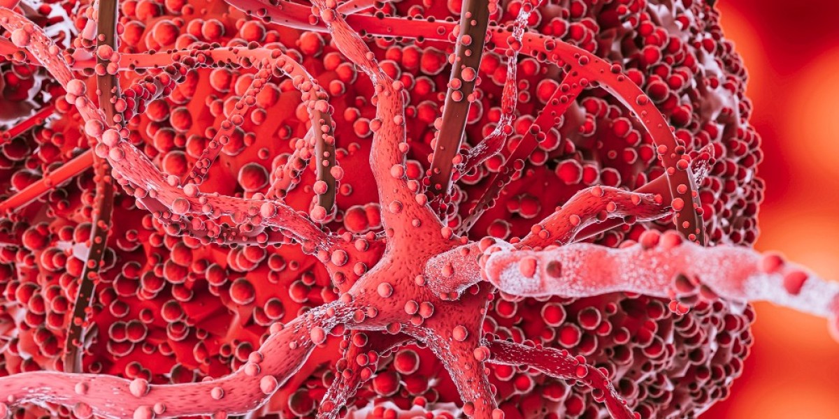 Exploring the Future of the T-Cell Lymphoma Market: Trends, Innovations, and Growth Drivers
