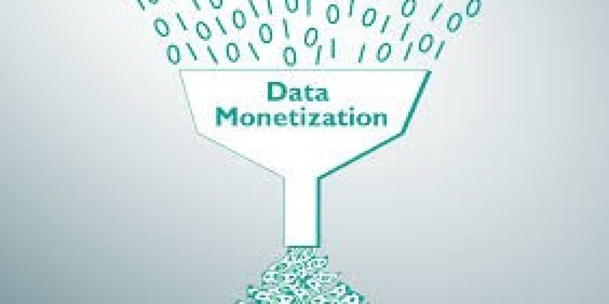Global Data Monetization Market Size Share and Growth Outlook with Key Insights