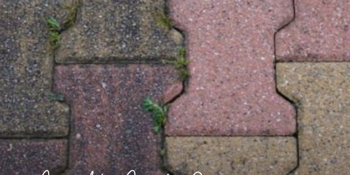 Professional Driveway Cleaning Services in Sheffield