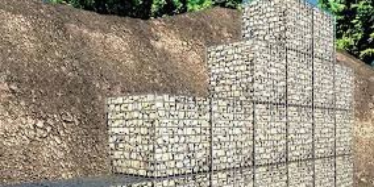 Comprehensive Research Report on Gabion Basket Market Size and Material Type Trends