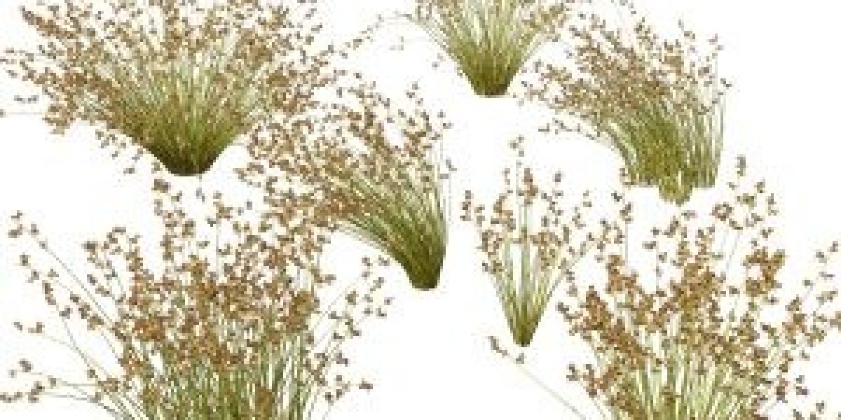 Free BIM Plants 3D Models Download – Instant Access