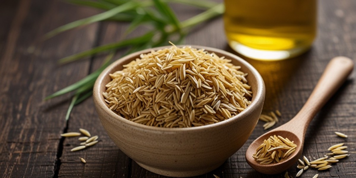 Rice Bran Oil Price Chart 2025: Industry Database, Historical Price Chart and Forecast
