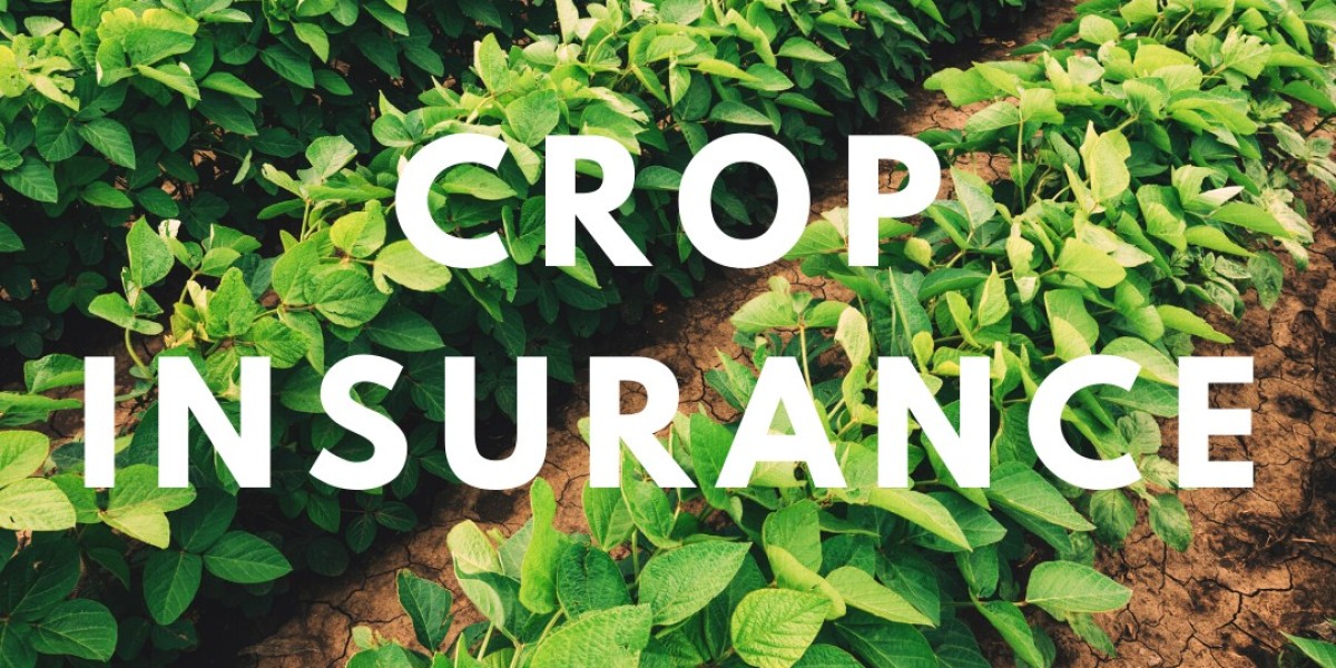 In-Depth Analysis of Global Crop Insurance Market Growth, Challenges, and Forecast to 2030