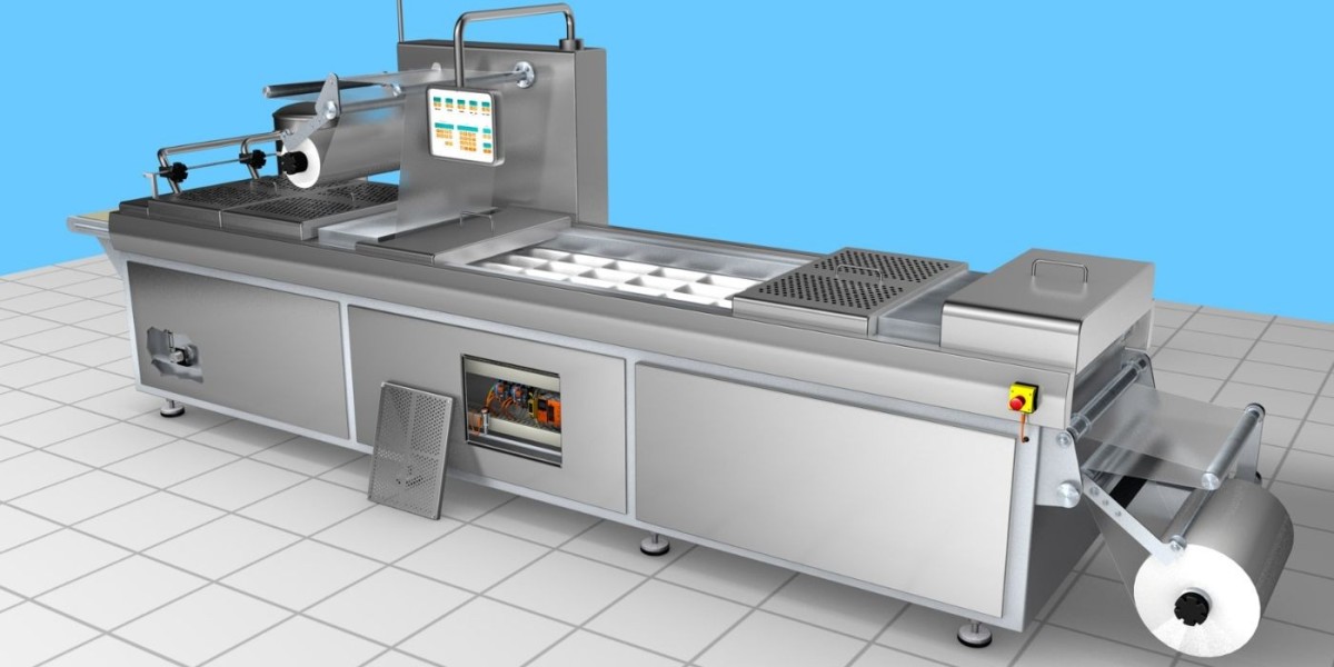 Thermoform Packaging Market Dynamics Driven by Retail Growth and Product Visibility Enhancement